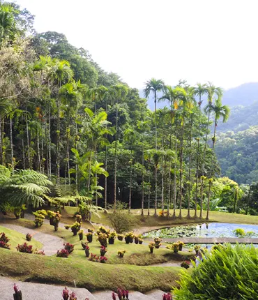 au jardin de Batala